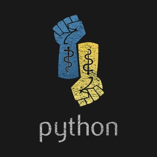 Python Programming Fists: Worn Look T-Shirt