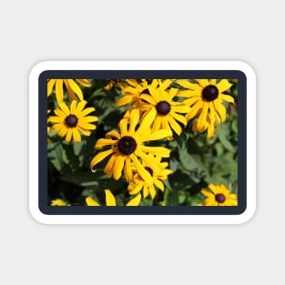 Yellow Flowers Photo Magnet