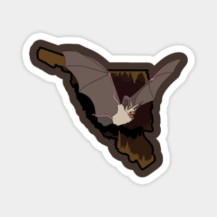 Pallid Bat Magnet