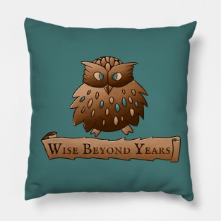 Fluffy Wisdom Owl with Scroll - Wise Beyond Years Pillow