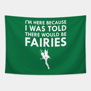 I Was Told There Would Be Fairies Magical Fairy Tale Tapestry