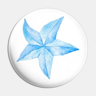 Sandy beach star Pin