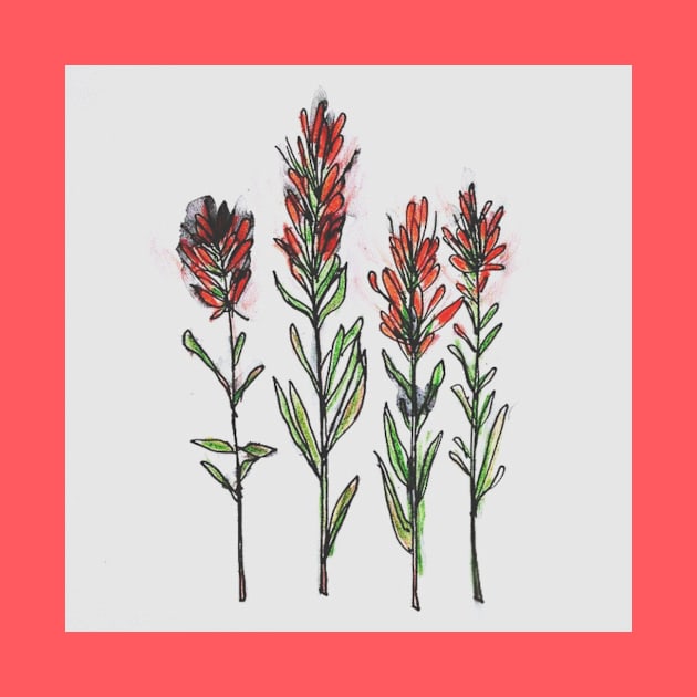 Wildflower Sketch Indian Paintbrush by alepekaarts