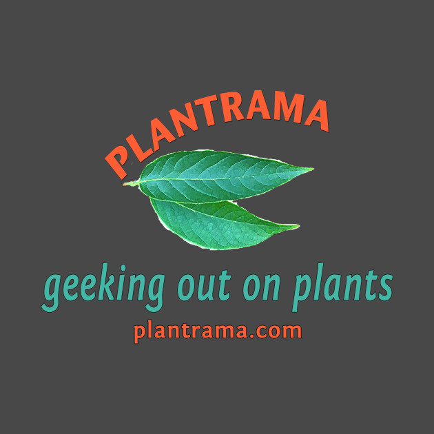 Back and Front - Geeking Out on Plants by Plantrama