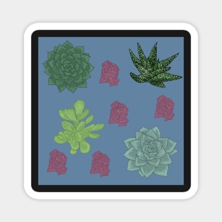 Succulents Pattern Blue Magnet