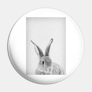 Rabbit 33 Pin