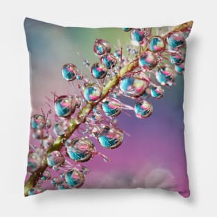 Rainbow Smoke Bush Drops Pillow