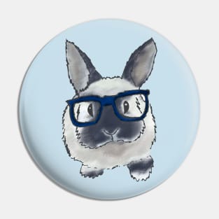 adorable bunny with glasses Pin