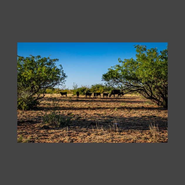 Angus Cow and Calves by Gestalt Imagery