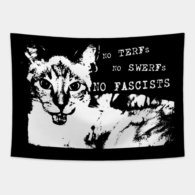 No TERFs, No SWERFs, No Fascists Tapestry by DoomedSocietyPunx