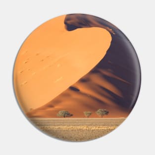 The Wave Pin