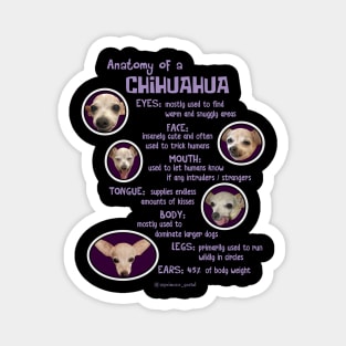 Anatomy of a chihuahua Magnet