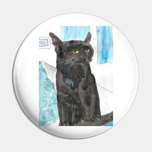 Davy Crockett, Cool Black Cat Pin