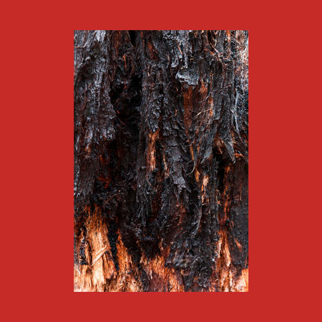 Vibrant Tree Oozing Sap From Trunk - Alternative VI by textural