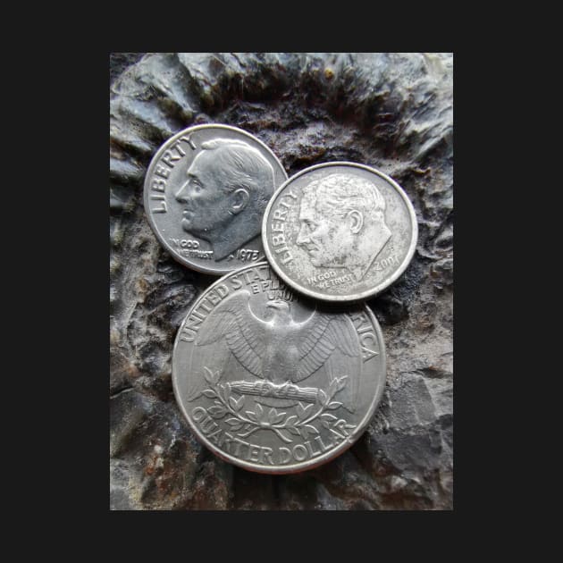 Metal detectorist, American silver coins by Diggertees4u