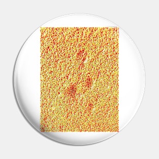 Cheese Crackers Pin