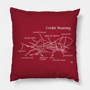 Cricket Anatomy Cheat Shirt Pillow