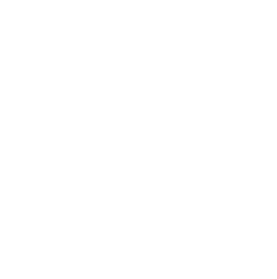 Stupidity and Sarcasm Magnet