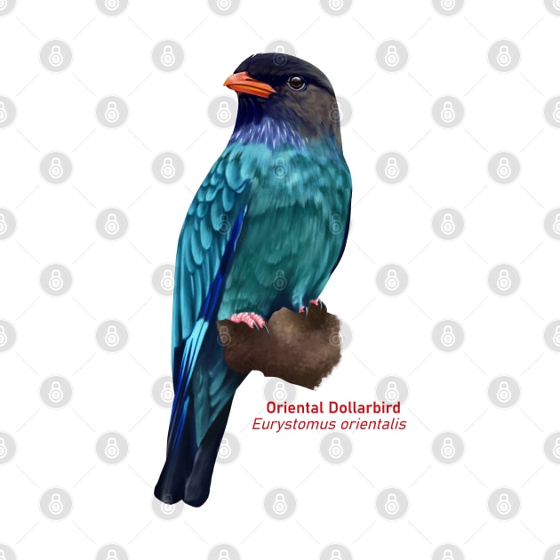 Oriental Dollarbird | Eurystomus orientalis by bona 
