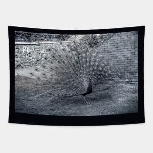 Monochrome Peacock Tapestry