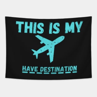 this is my airplane have destination Tapestry