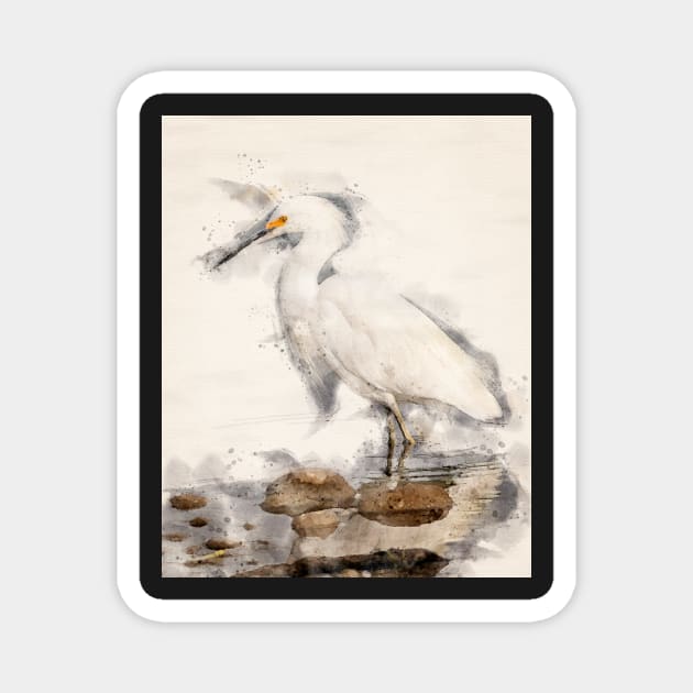 Snowy White Egret in Watercolor Magnet by jecphotography