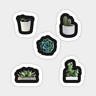 succulents STICKER PACK Magnet