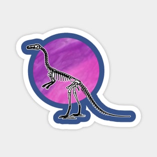 Dinosaur Skeleton in Space Magnet