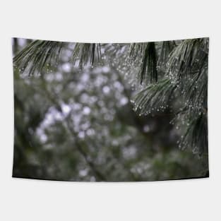 Pine Branch Border Tapestry