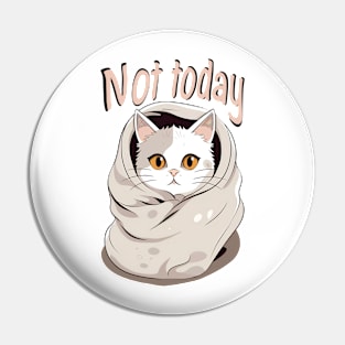 Kitty in a blanket Pin