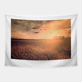 Warbird Poppy Pass Tapestry