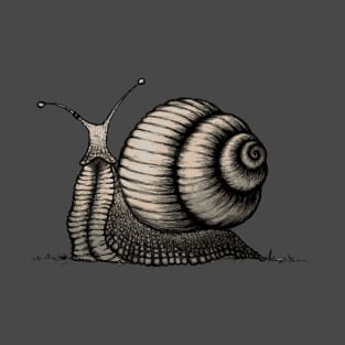 Snail T-Shirt