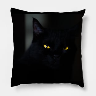 Cat black Pillow