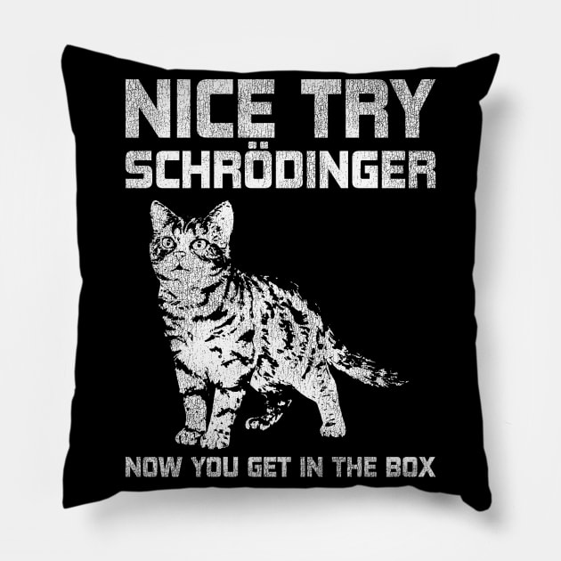 Science Vintage Shrodinger Cat Physics Pillow by shirtsyoulike