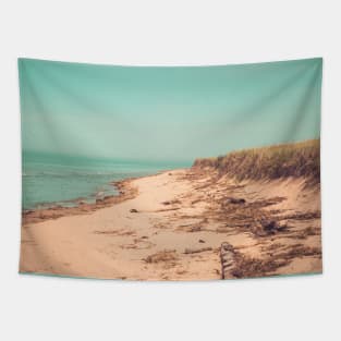 Shoreline Lake Michigan Tapestry