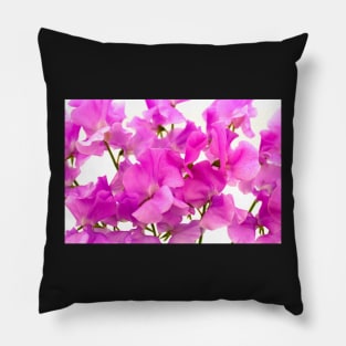 Sweet Peas Pillow