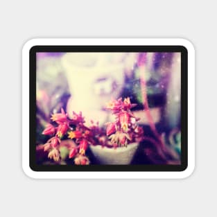 Yellow and Pink Flowers Magnet