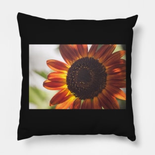 Sunflower Series VI Pillow