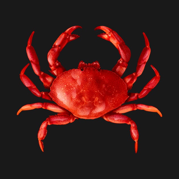 Red Crab by lightidea