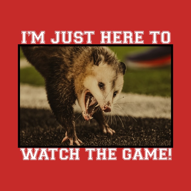 Texas College Football Game Possum Meme by All-About-Words