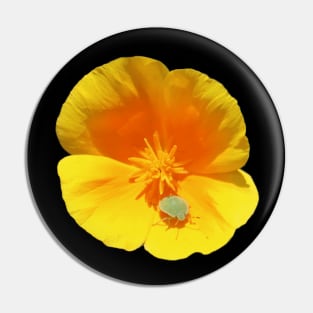 Californian Poppy Bug Pin