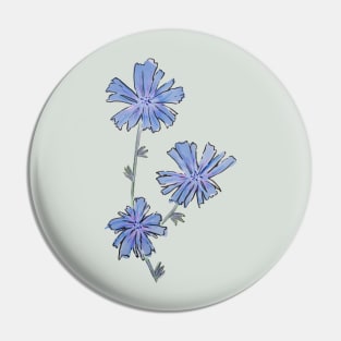 Chicory wildflower drawing Pin