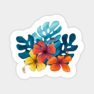 Tropical Hibiscus flowers Magnet