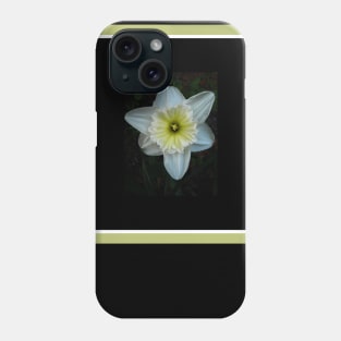 White Daffodil Phone Case