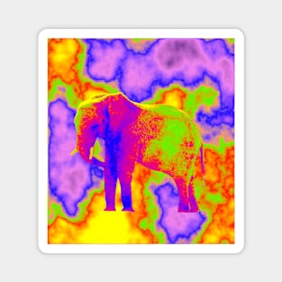 Psychedelic elephant Magnet