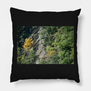 Bodetal, rock, cliff, cliff, Thale, Harz, Germany, autumn Pillow