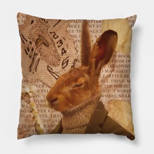 down the rabbit hole Pillow