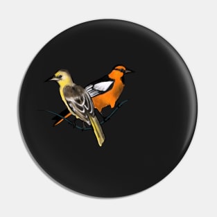 Bullock's Orioles Pin