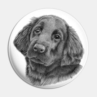 Flatcoated retriever puppy Pin