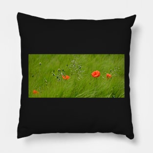 Poppies in Wheat Field Pillow